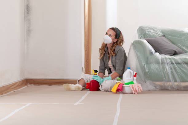 Reliable Mold Remediation contractor in Hickory Corners, MI by WQB Mold Removal